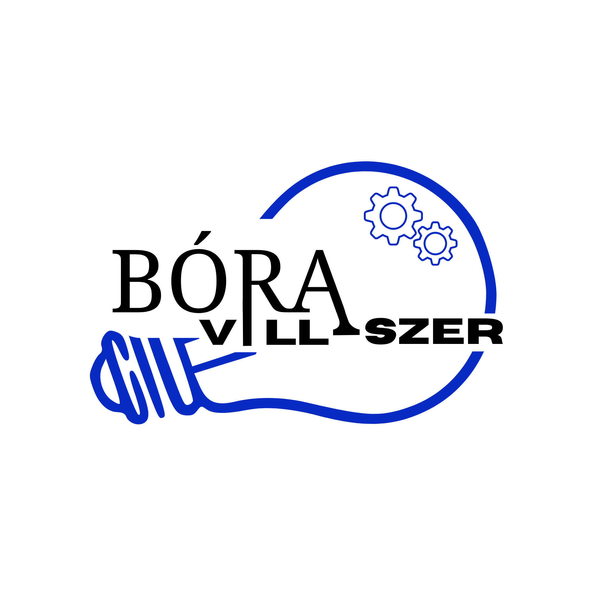 boravillszer_logo